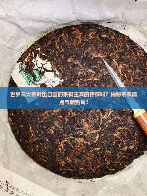 世界三大茶叶出口国茶树王