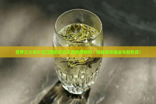 世界三大茶叶出口国茶树王