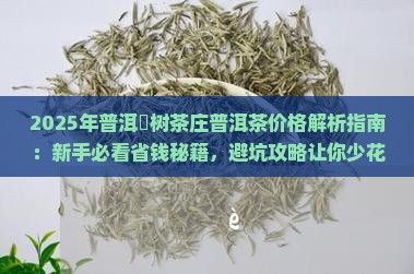 普洱玥树茶庄普洱茶价格