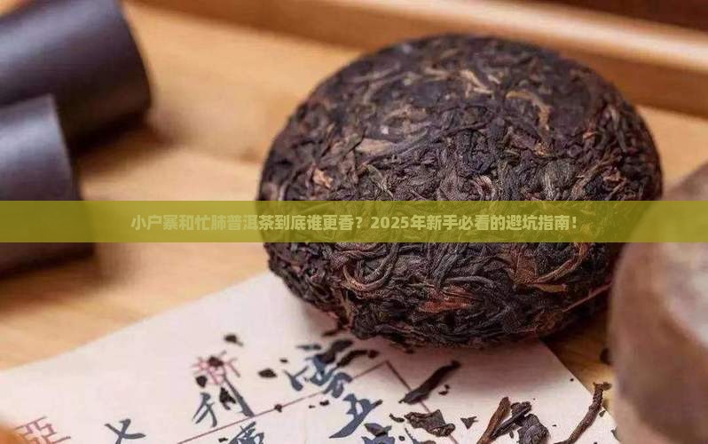 小户寨与忙肺普洱茶