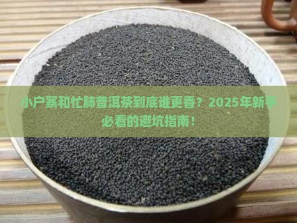 小户寨与忙肺普洱茶