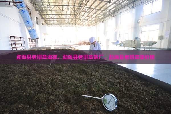 勐海县老班章海拔