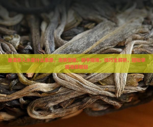 普洱茶入水是什么意思