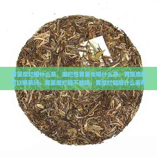 胃窦糜烂喝什么茶