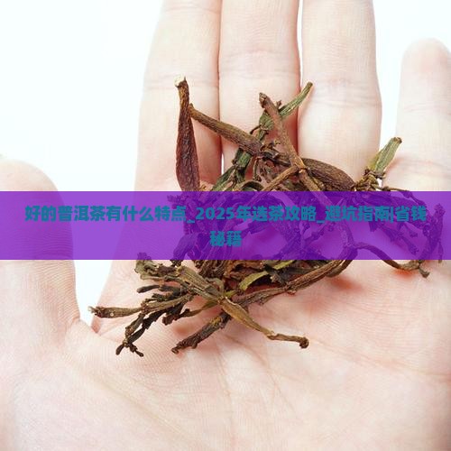 好的普洱茶有什么特点