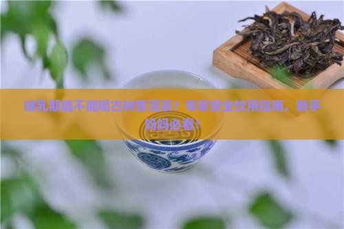 哺乳期能不能喝古树普洱茶