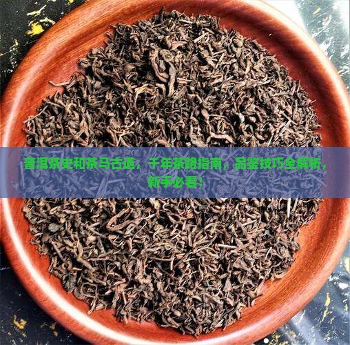 普洱茶史和茶马古道