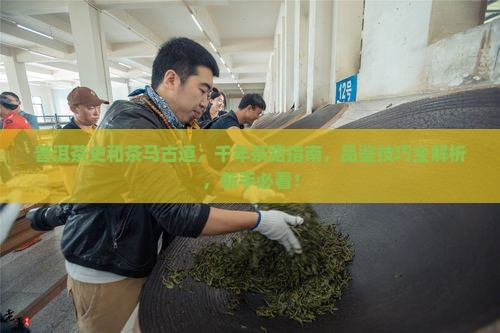 普洱茶史和茶马古道