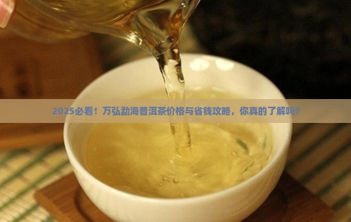 万弘勐海普洱茶价格