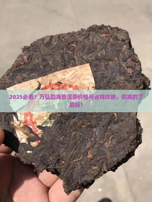 万弘勐海普洱茶价格