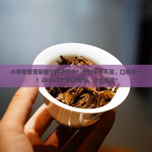 小青柑普洱茶哪个牌子好些