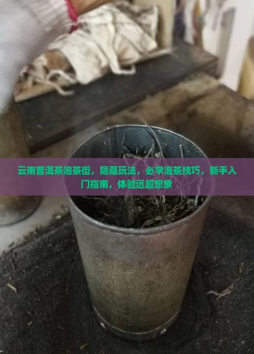 云南普洱茶泡茶街