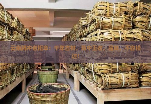 云南腾冲老班章