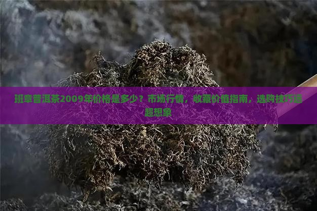 班章普洱茶2009年价格