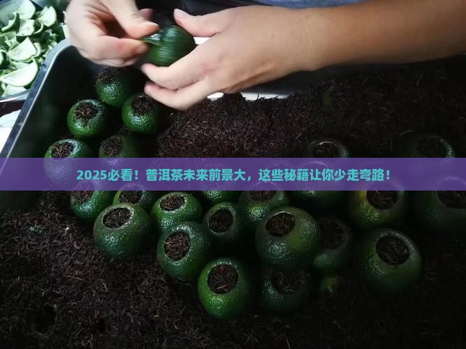 浅谈普洱茶的未来发展前景