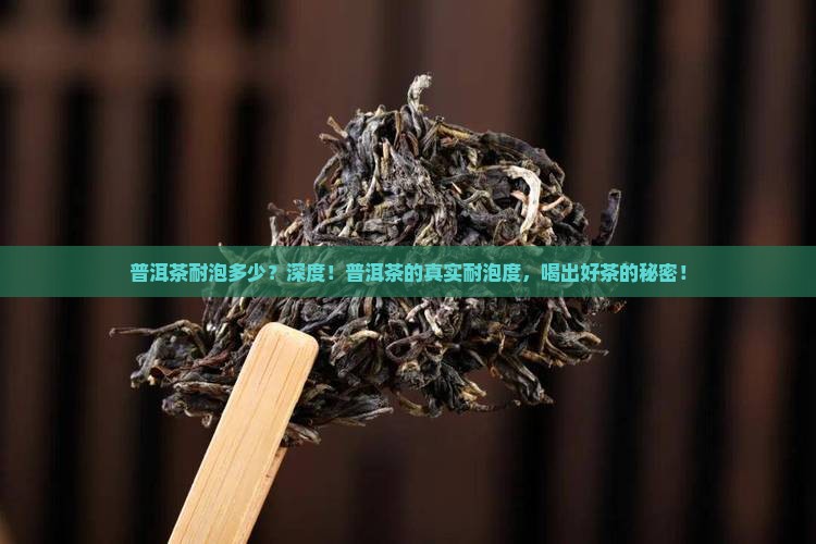 普洱茶耐泡多少