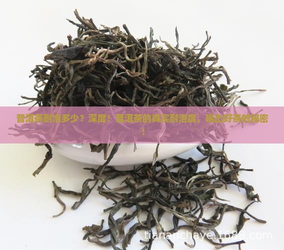 普洱茶耐泡多少