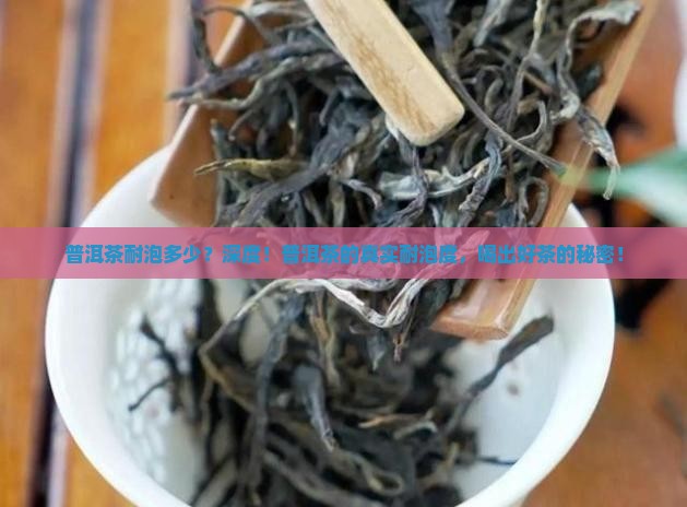 普洱茶耐泡多少
