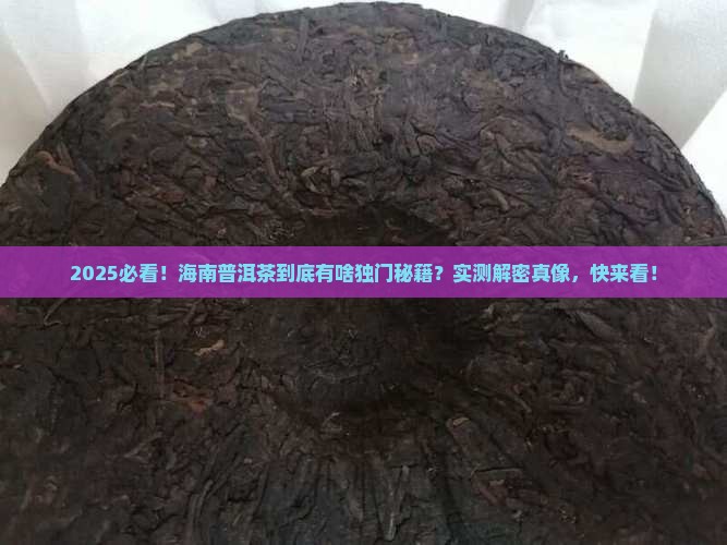 海南普洱茶的特点