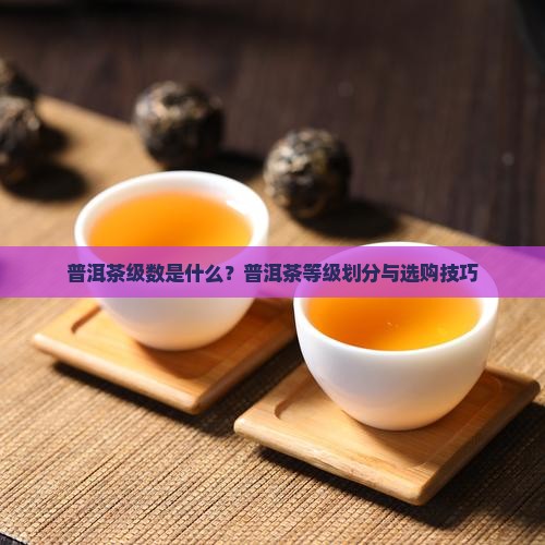 普洱茶级数是什么