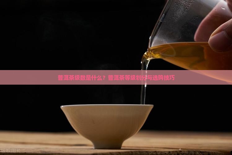 普洱茶级数是什么