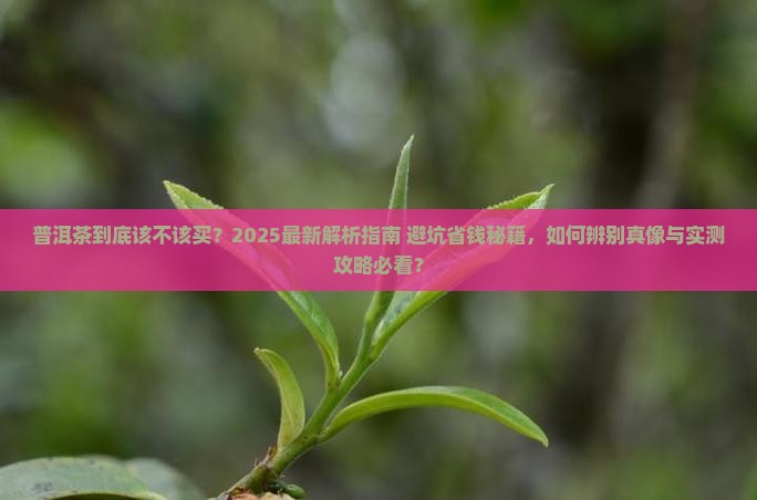 普洱茶到底该不该买掉的