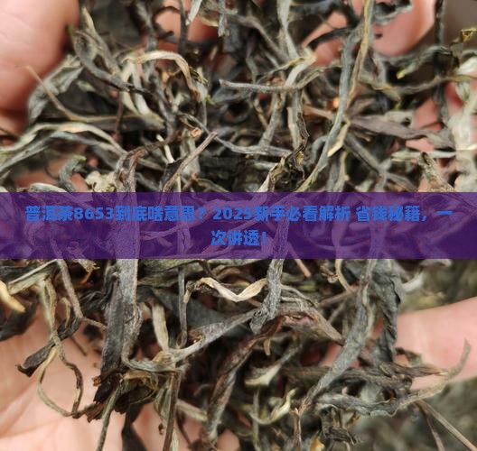 普洱茶8653什么意思