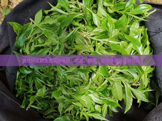 高性价比的生普洱茶推荐