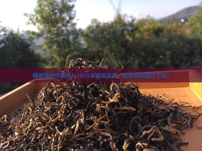 喝茶对肾脏的影响
