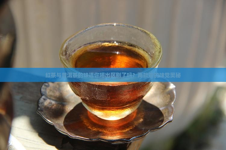 红茶与普洱茶的味道