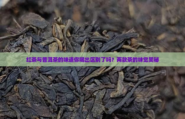 红茶与普洱茶的味道