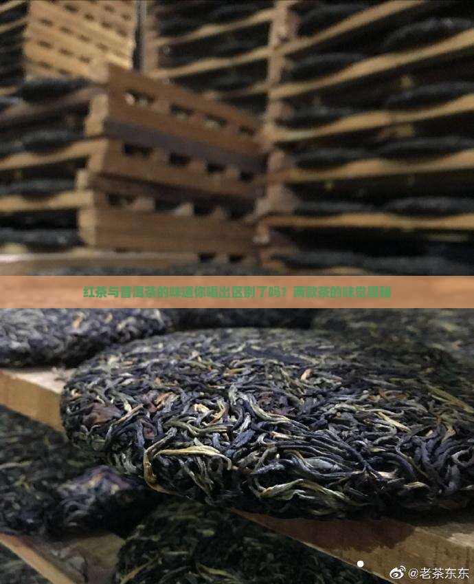 红茶与普洱茶的味道