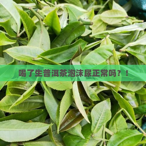 喝了生普洱茶泡沫尿正常吗
