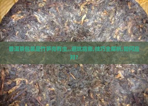 普洱茶包装是竹笋壳有虫
