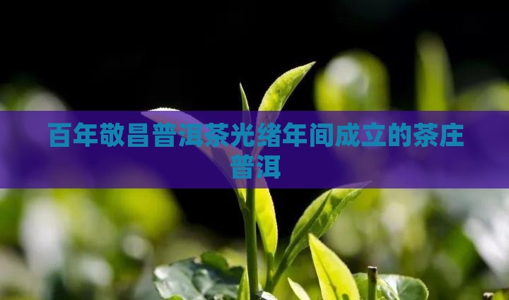百年敬昌普洱茶 百年敬昌普洱茶