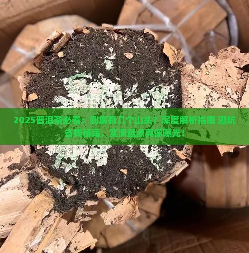 普洱茶都有几个山头