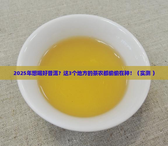 今年适合普洱茶生长