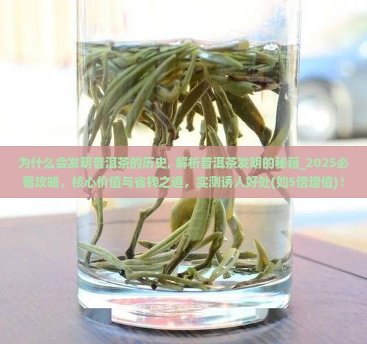 为什么会发明普洱茶的历史