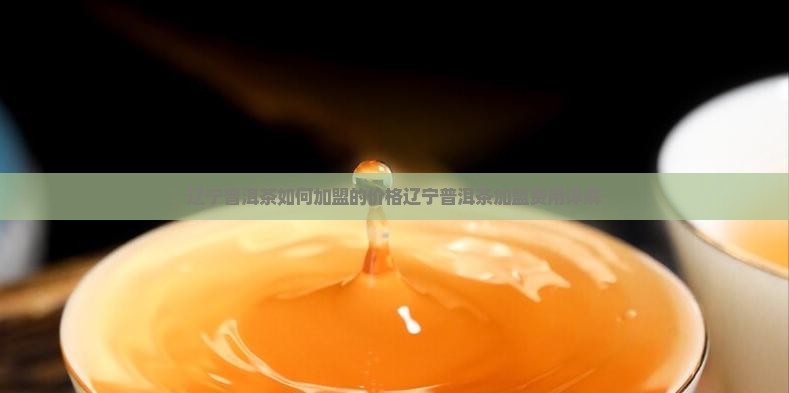 辽宁普洱茶如何加盟的价格