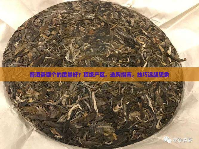 普洱茶哪个国家的品牌质量好