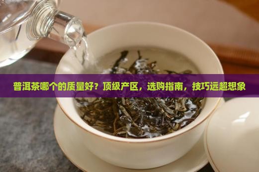 普洱茶哪个国家的品牌质量好