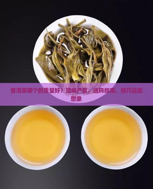 普洱茶哪个国家的品牌质量好