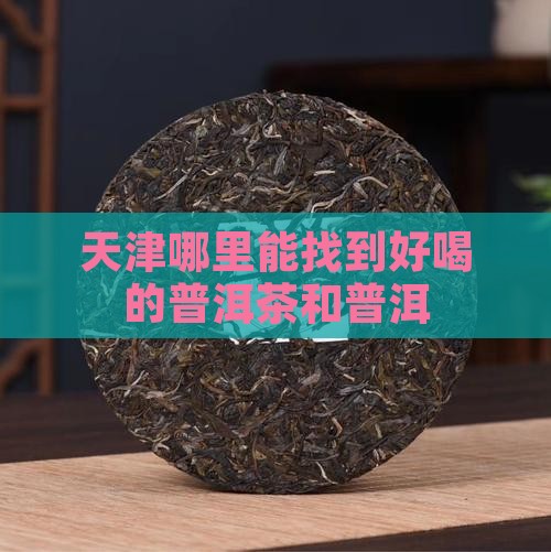 天津哪里的普洱茶好喝