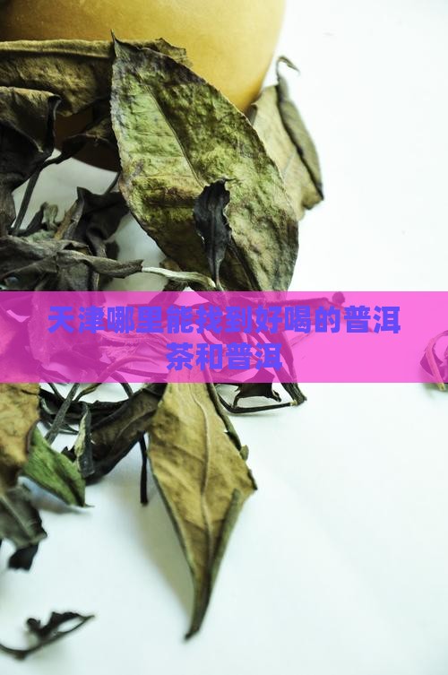 天津哪里的普洱茶好喝