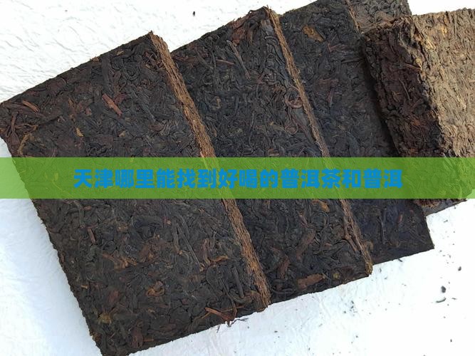 天津哪里的普洱茶好喝