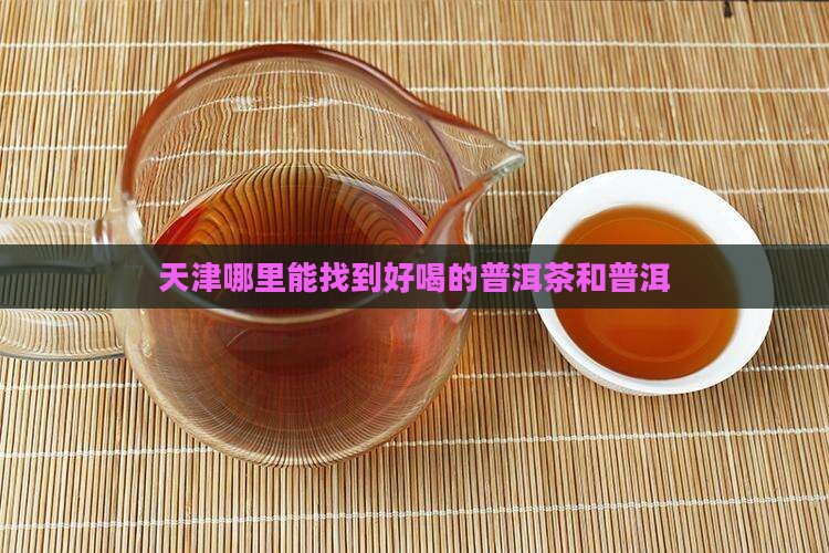 天津哪里的普洱茶好喝