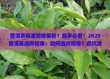 普洱茶标准规格 普洱茶标准规格