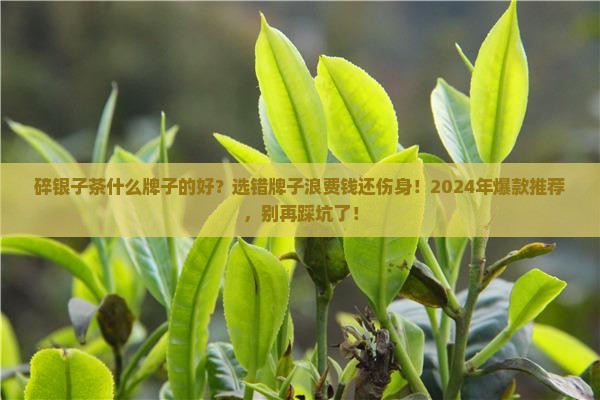 碎银子茶什么牌子的好