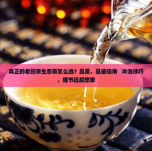 真正的老班章生态茶