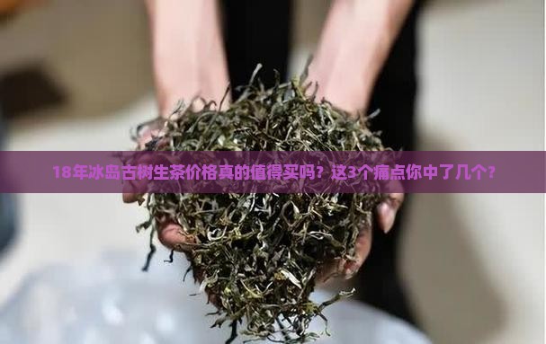 18年冰岛古树生茶价格